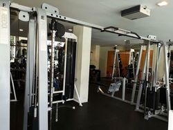 Mandarin Gardens (D15), Condominium #607344911